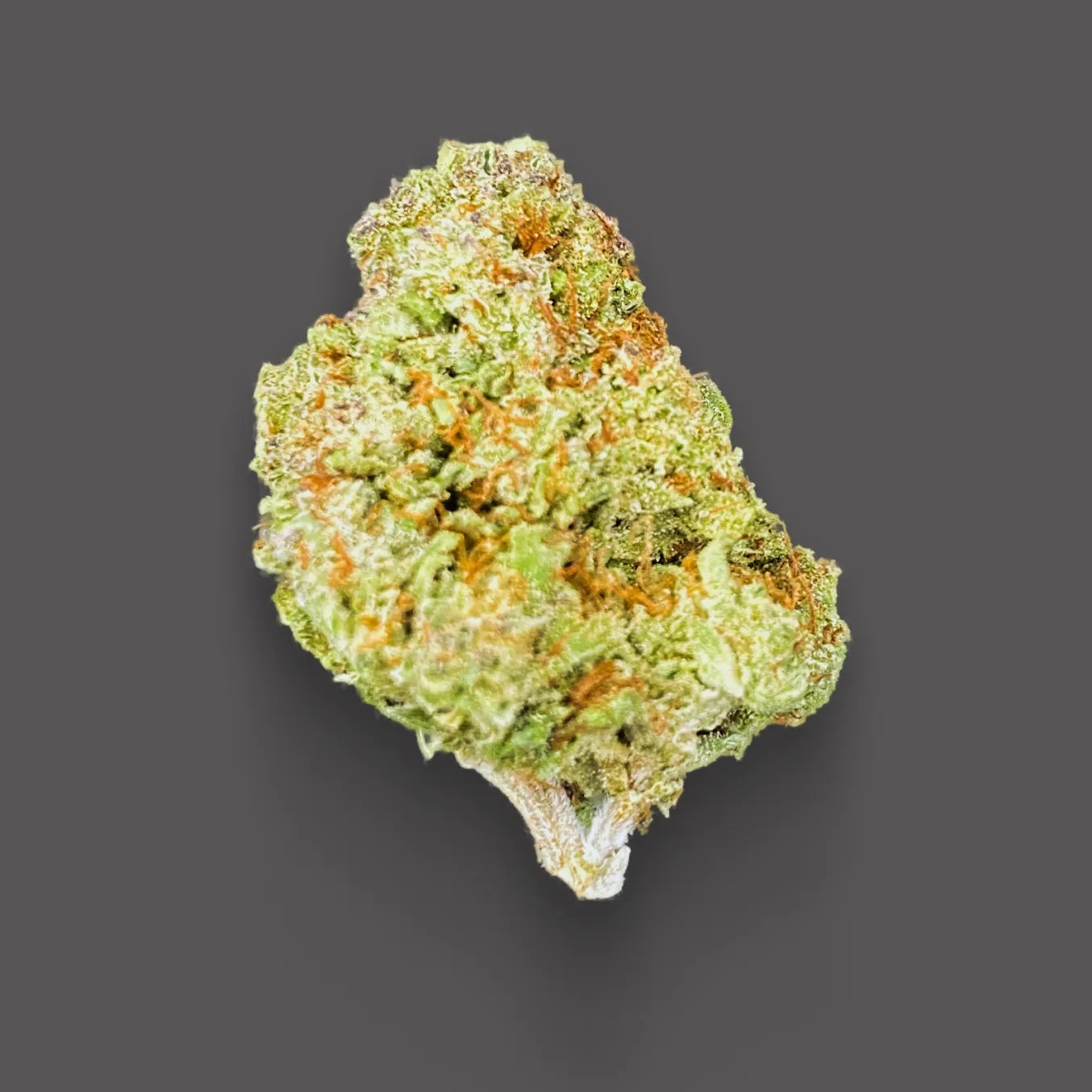 Blueberry Headband