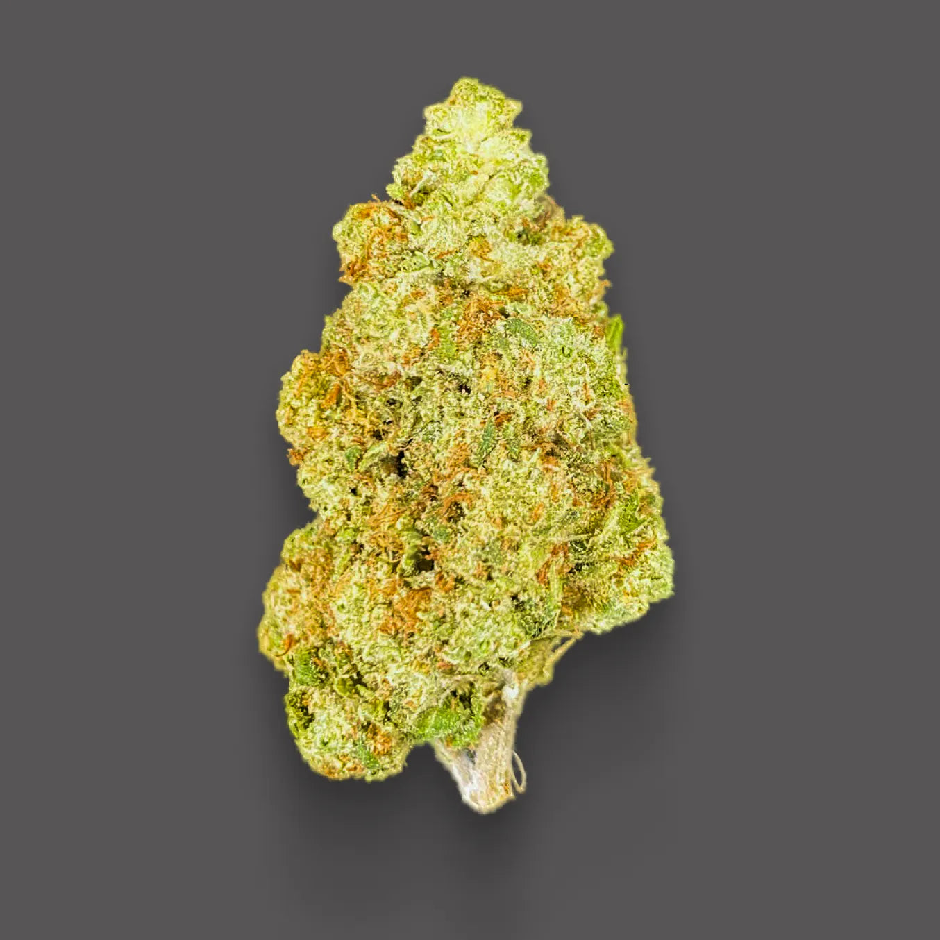 Orange Butter Cheese